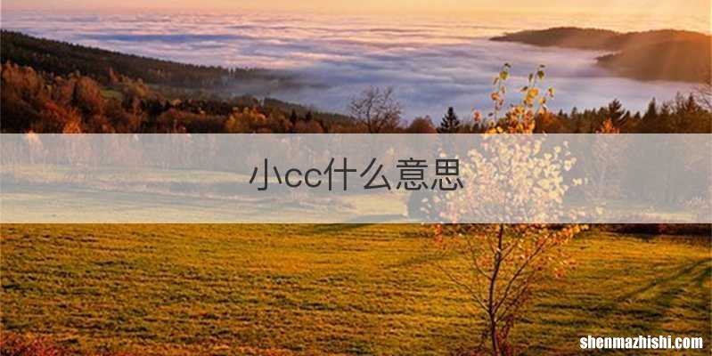 小cc什么意思