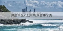 凤凰单丛八仙和鸭屎香哪个贵