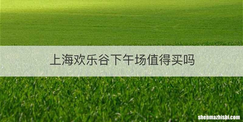 上海欢乐谷下午场值得买吗