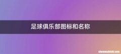 足球俱乐部图标和名称