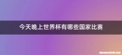 今天晚上世界杯有哪些国家比赛