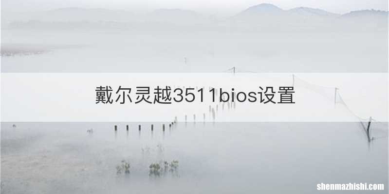 戴尔灵越3511bios设置