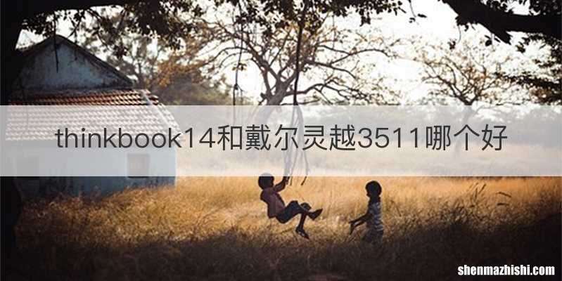 thinkbook14和戴尔灵越3511哪个好