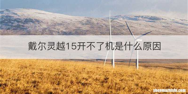 戴尔灵越15开不了机是什么原因