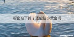 橱窗被下掉了还能挂小黄金吗