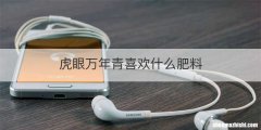 虎眼万年青喜欢什么肥料