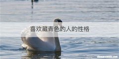 喜欢藏青色的人的性格