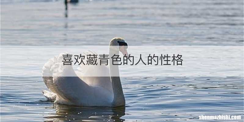 喜欢藏青色的人的性格