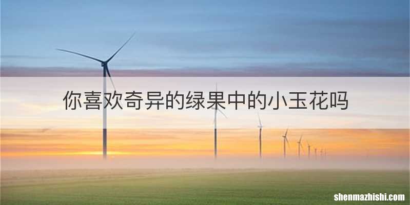 你喜欢奇异的绿果中的小玉花吗