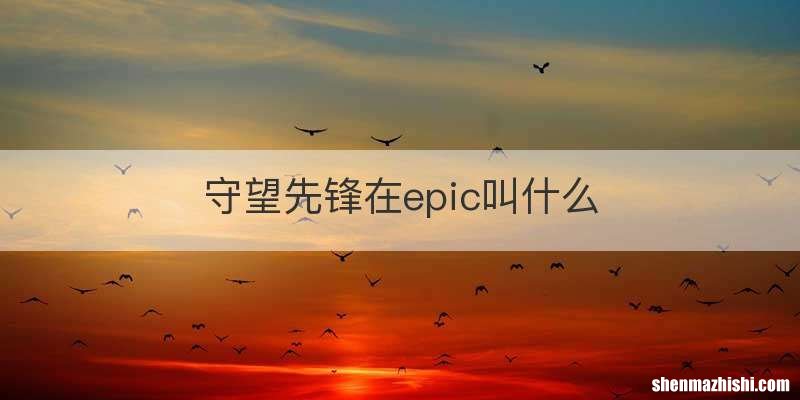 守望先锋在epic叫什么