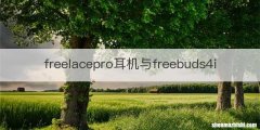 freelacepro耳机与freebuds4i
