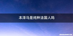 本泽马是纯种法国人吗