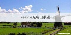 realme充电口很紧