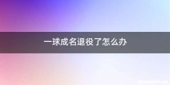 一球成名退役了怎么办