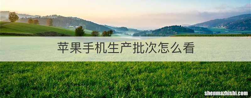 苹果手机生产批次怎么看