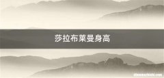 莎拉布莱曼身高