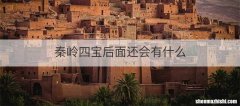 秦岭四宝后面还会有什么