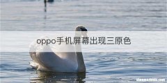 oppo手机屏幕出现三原色