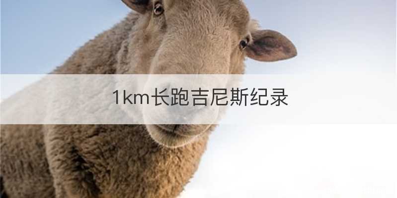 1km长跑吉尼斯纪录