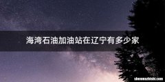 海湾石油加油站在辽宁有多少家
