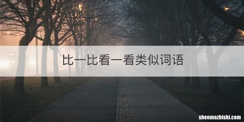 比一比看一看类似词语