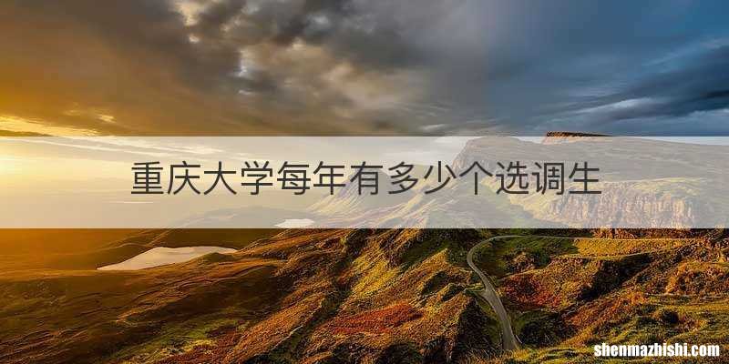 重庆大学每年有多少个选调生