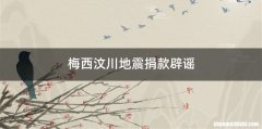 梅西汶川地震捐款辟谣