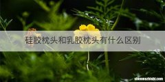 硅胶枕头和乳胶枕头有什么区别