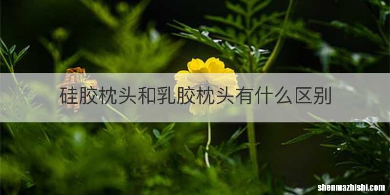 硅胶枕头和乳胶枕头有什么区别