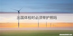 出国体检时必须带护照吗