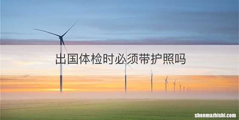 出国体检时必须带护照吗