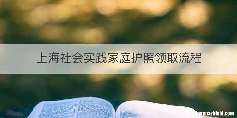 上海社会实践家庭护照领取流程