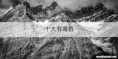 十大有毒虾