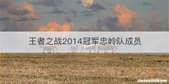 王者之战2014冠军忠岭队成员