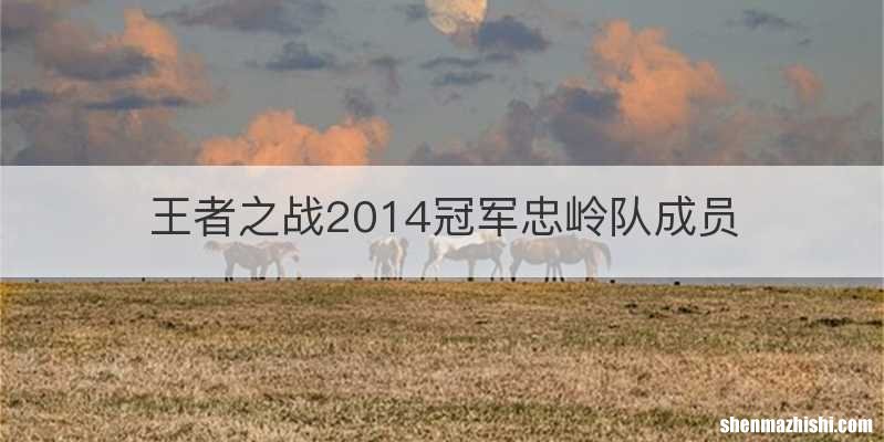王者之战2014冠军忠岭队成员