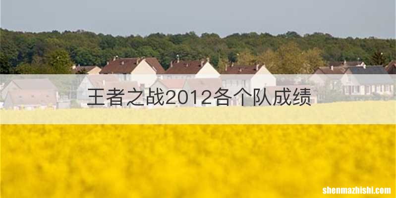 王者之战2012各个队成绩