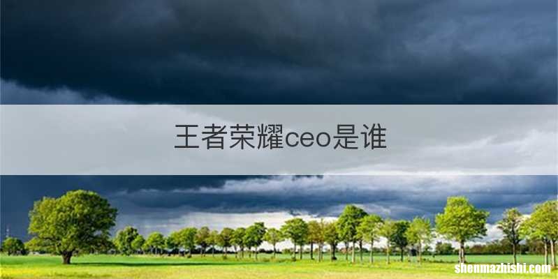 王者荣耀ceo是谁
