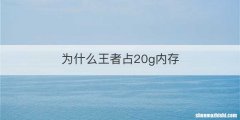 为什么王者占20g内存