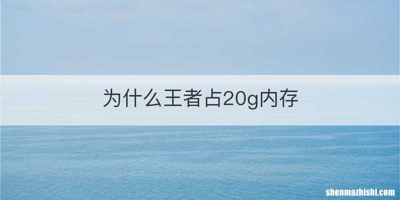 为什么王者占20g内存