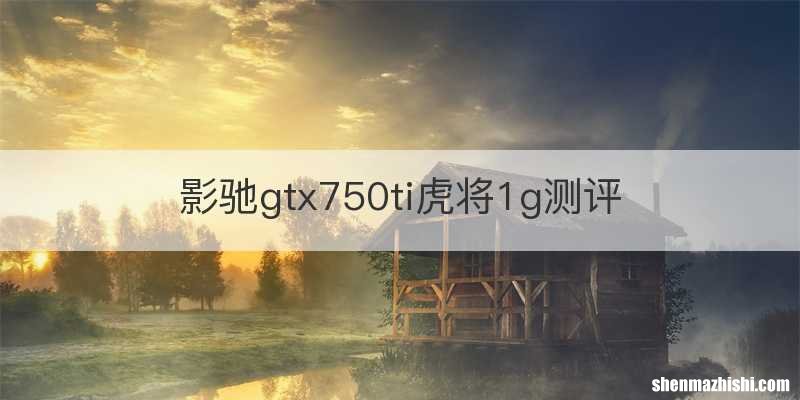 影驰gtx750ti虎将1g测评