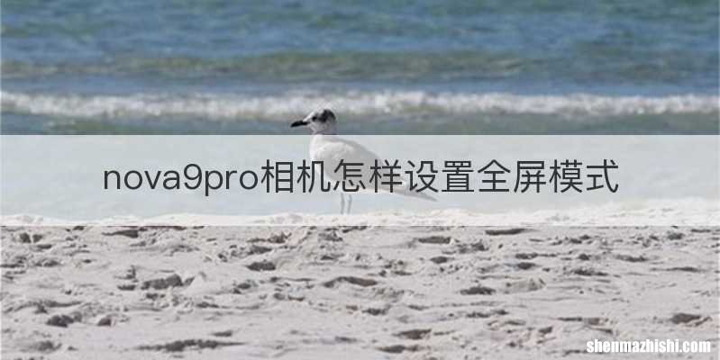 nova9pro相机怎样设置全屏模式