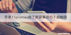 苹果11promax换了新屏幕依旧不能触摸