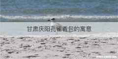 甘肃庆阳孔雀香包的寓意