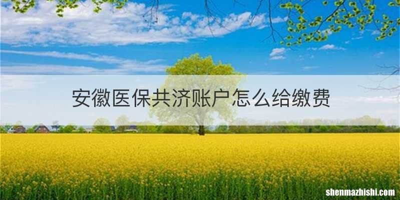 安徽医保共济账户怎么给缴费