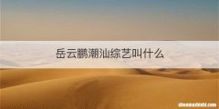 岳云鹏潮汕综艺叫什么