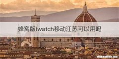 蜂窝版iwatch移动江苏可以用吗