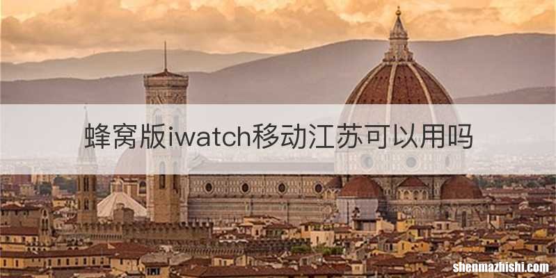 蜂窝版iwatch移动江苏可以用吗