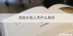 龙抬头张人杰什么身份
