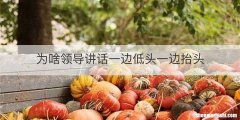 为啥领导讲话一边低头一边抬头