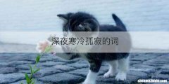 深夜寒冷孤寂的词